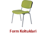 form koltukları