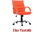 eko_yastikli